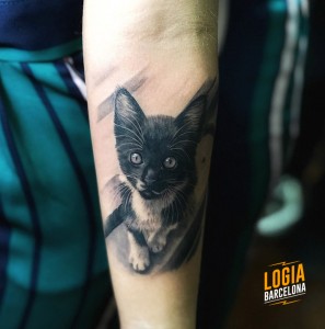 tatuaje_realismo_gatito_brazo_Logia_Barcelona_Eduar_Cardona 